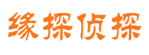 金城江侦探